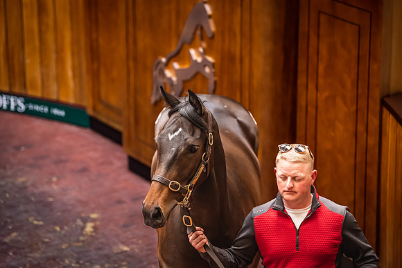 Goffs UK Breeze Up 2022-256