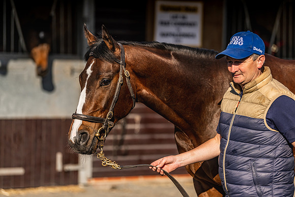 Goffs UK Breeze Up 2022-42
