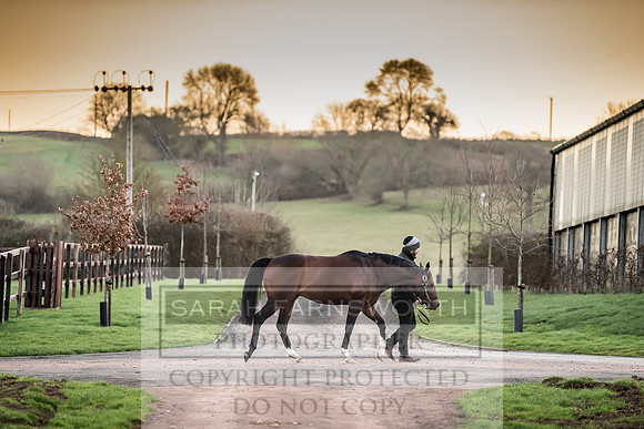 Tweenhills January 2019-27