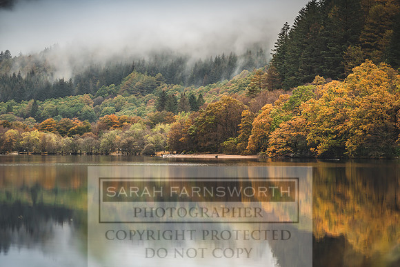Loch Eck October 2019-15