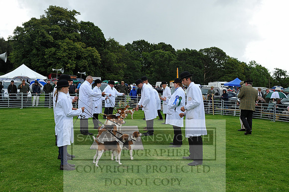 Rydal 2014 CF1 094