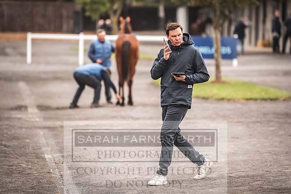 Goffs Orby 2022 Day 1-78