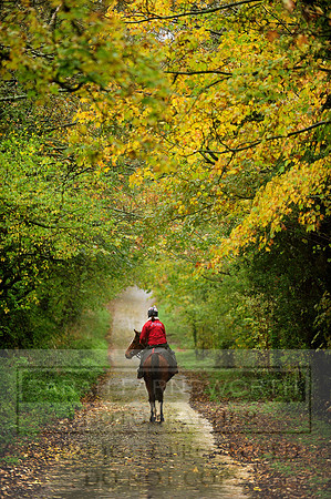 Autumn Snow 026