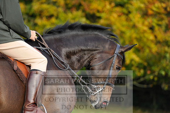 Heythrop Fun Ride 2014-159