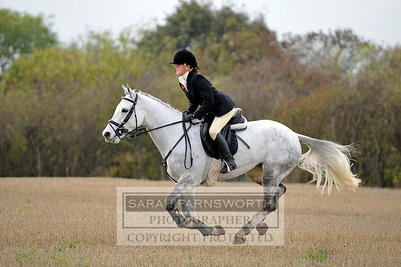 Brocklesby 021113 CF3 755