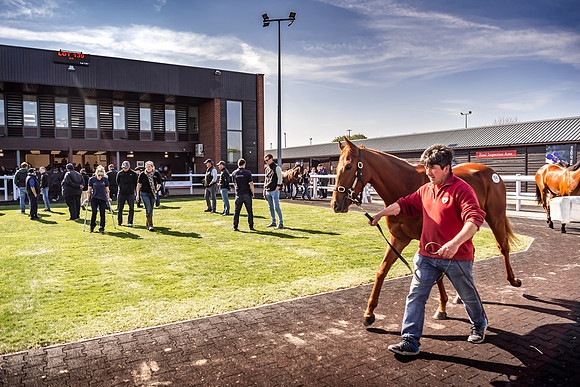 Goffs UK Breeze Up 2022-360