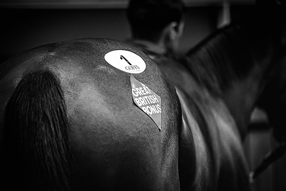 Goffs UK Breeze Up 2022-160