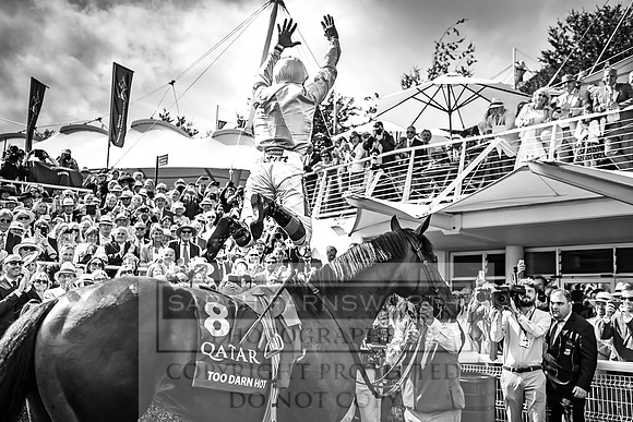 GUK Goodwood Sale 2019-181