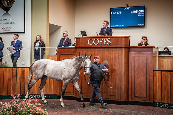 Goffs UK Breeze Up 2022-365