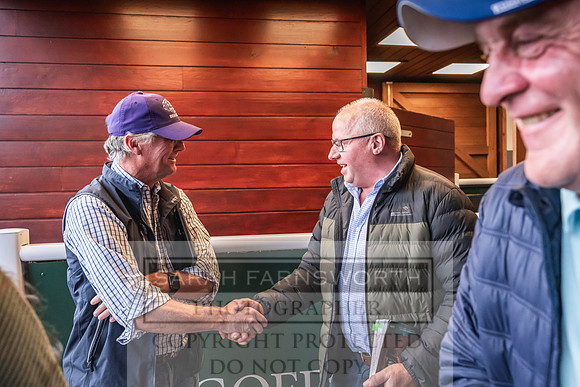 Goffs UK PY24-590