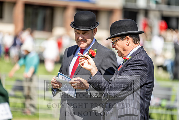 Builth Hound Show 2019-41