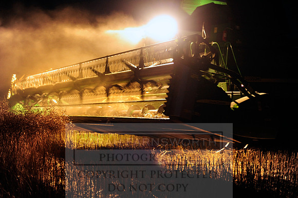 combining r-oil 055