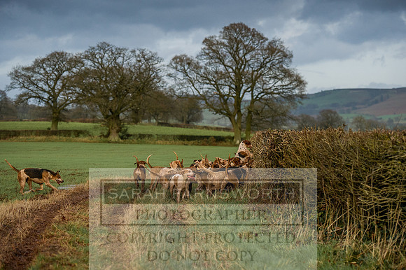 Ludlow 261215-452