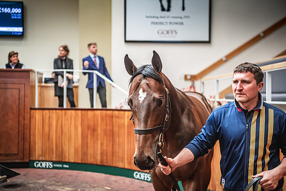 Goffs UK Breeze Up 2022-302
