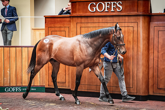 Goffs UK Breeze Up 2022-303