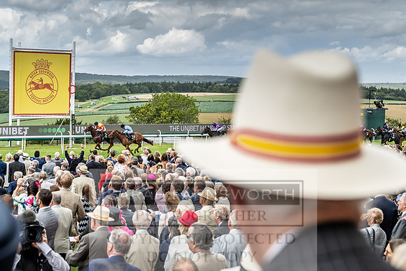 GUK Goodwood Sale 2019-56