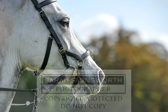Heythrop Fun Ride 2014-513