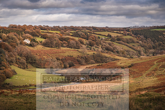 Exmoor Autumn 2020-64