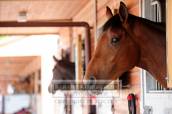 _D3G3162