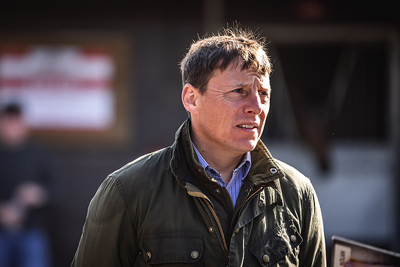 Goffs UK Breeze Up 2022-74