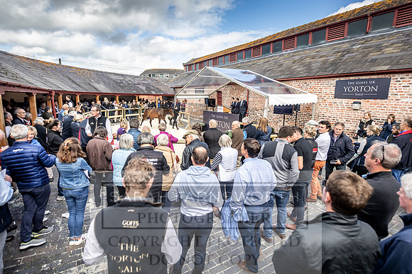 GUK Yorton Sale 2019-383