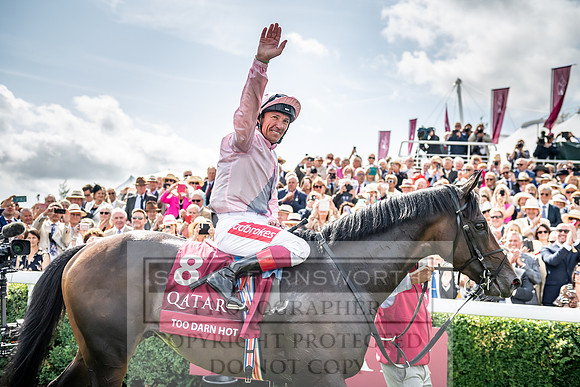 GUK Goodwood Sale 2019-173