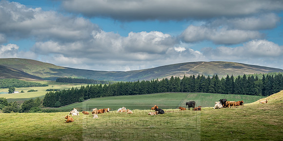 Highlands July 2018-1