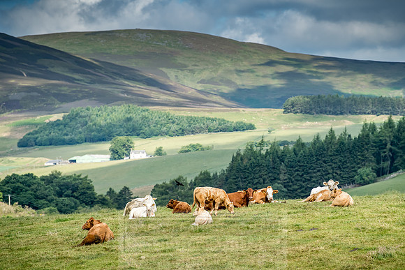 Highlands July 2018-2