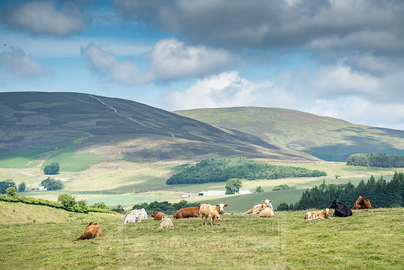 Highlands July 2018-3