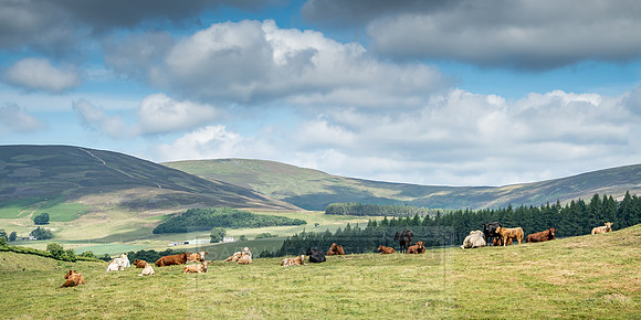Highlands July 2018-4