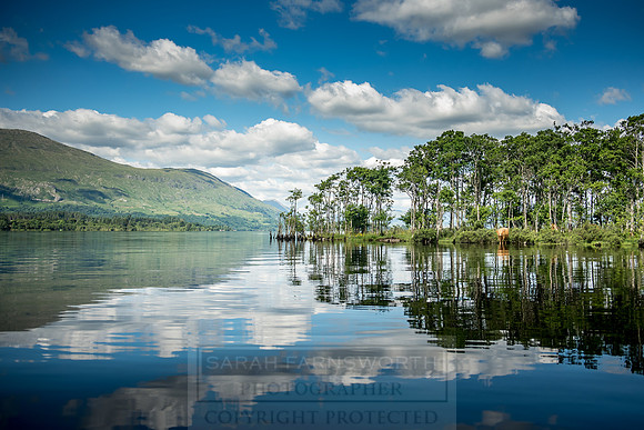 Loch Awe July 2018-10