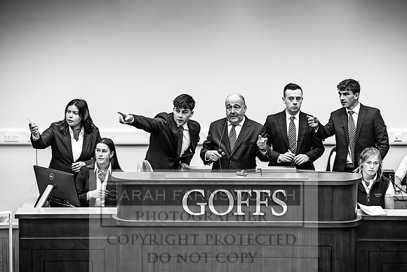 Goffs UK PY24-386
