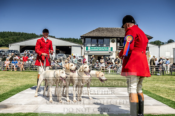 Builth Hound Show 2019-96