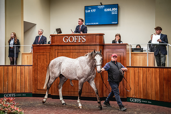 Goffs UK Breeze Up 2022-366