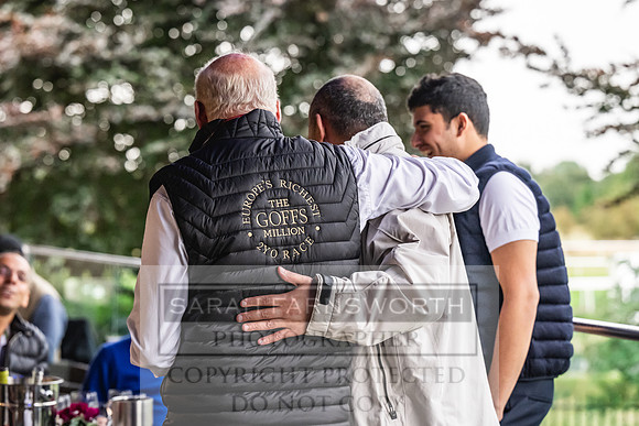 Goffs UK PY24-188