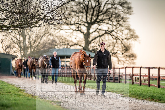 Tweenhills January 2019-31