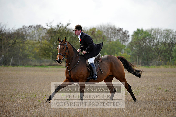 Brocklesby 021113 CF3 717