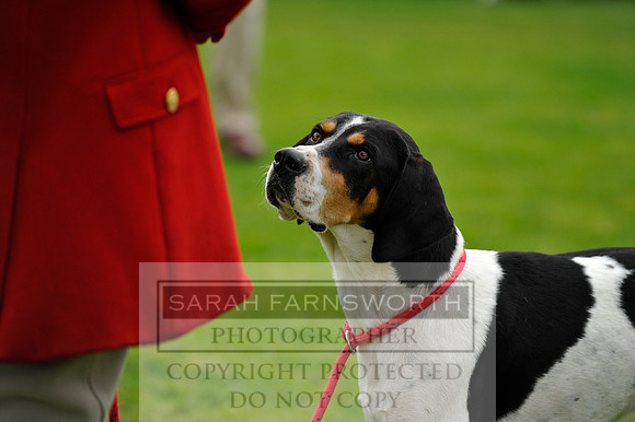 Rydal 2014 CF2 1015