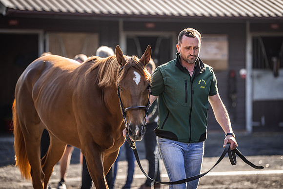 Goffs UK Breeze Up 2022-139