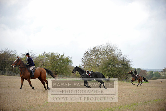 Brocklesby 021113 CF3 747