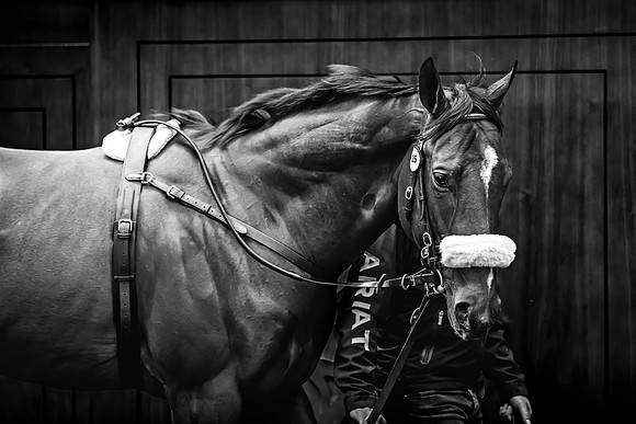 Goffs UK Breeze Up 2022-198