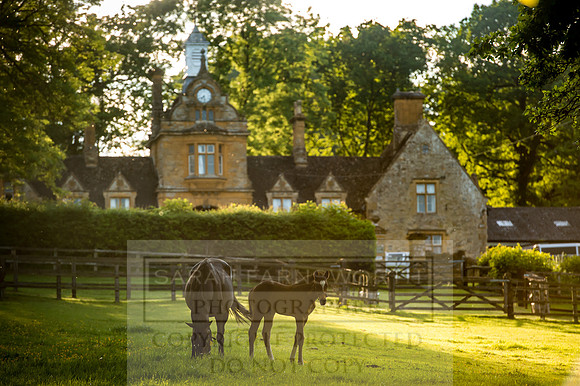 Cotswolds June 2017-5