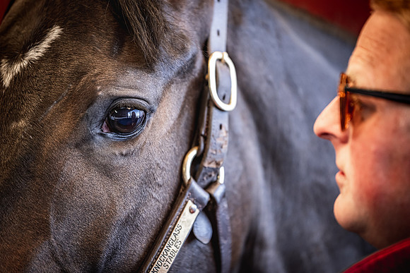 Goffs UK Breeze Up 2022-253
