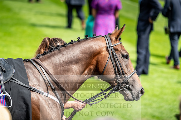 GUK Goodwood Sale 2019-71