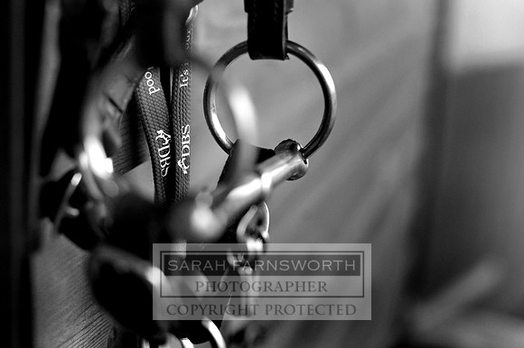 DBS 310811 041 bw