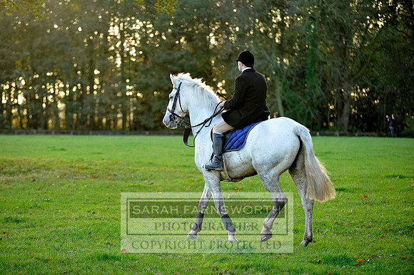 Brocklesby 021113 CF3 1403