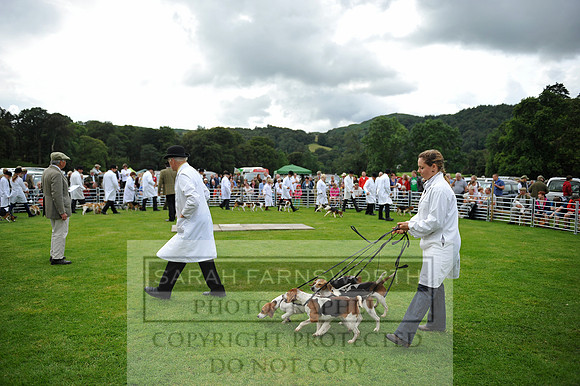 Rydal 2014 CF1 299