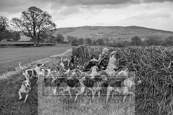 Ludlow 261215-455 bw