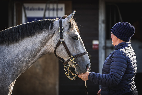 Goffs UK Breeze Up 2022-106