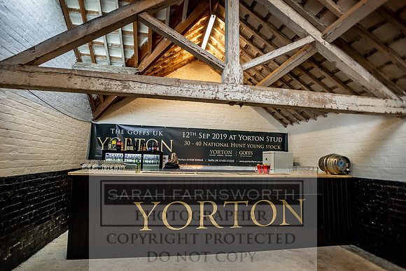 GUK Yorton Sale 2019-1